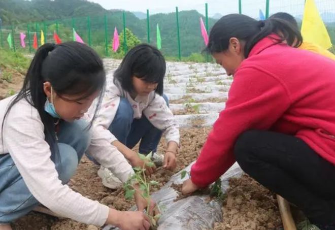 明博体育APP“应试教育”背后4种新的教育模式兴起最后一种也最难做到(图4)